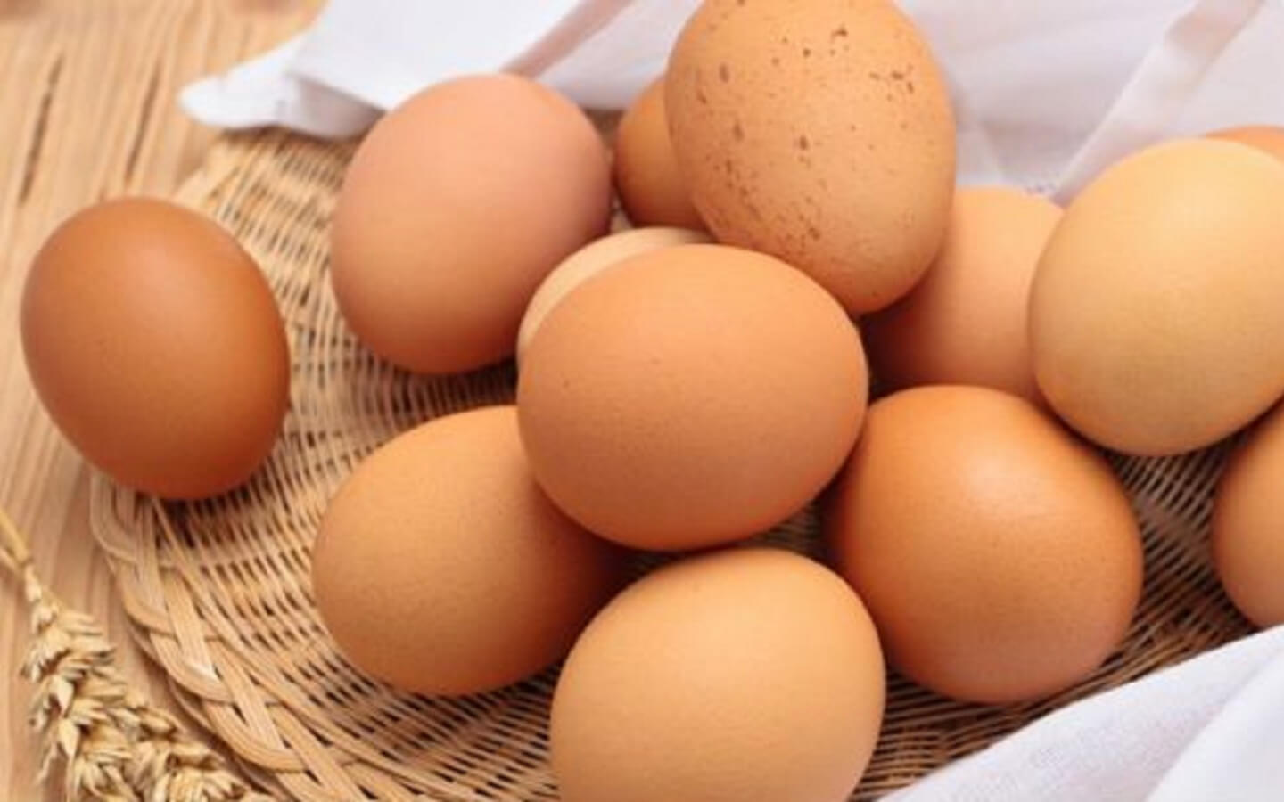 eggs are a great source of protein